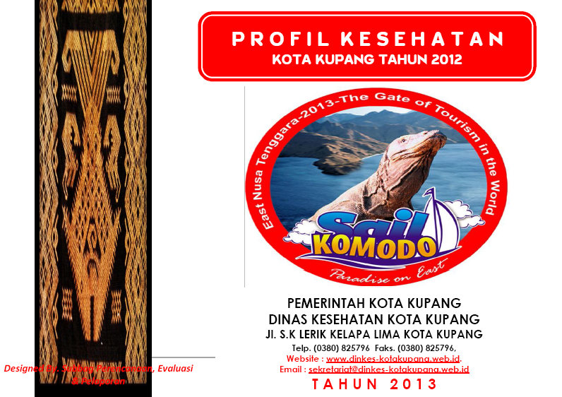 Profil Kesehatan Tahun 2012 di terbitkan